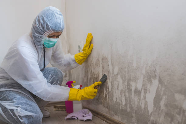 Best Commercial Mold Removal  in Newcastle, OK