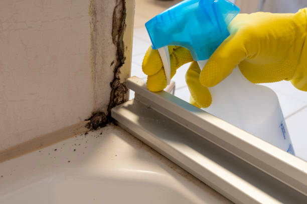 Best Commercial Mold Removal  in Newcastle, OK