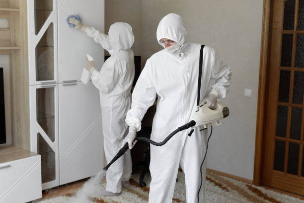 Best Mold Removal Process  in Newcastle, OK