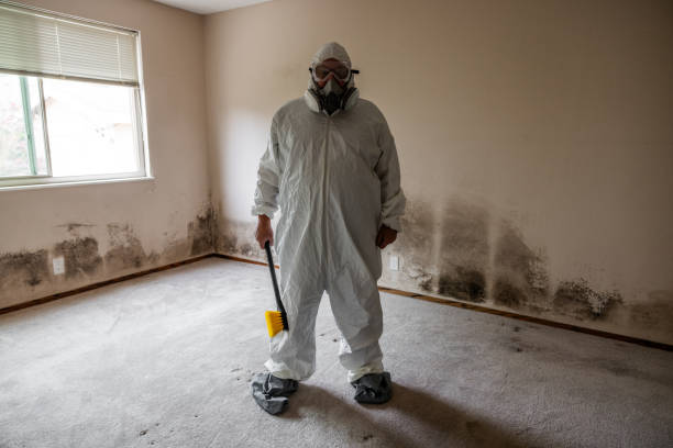 Best Fast Mold Removal  in Newcastle, OK