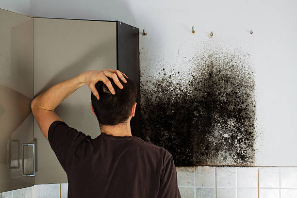 Best Home Mold Removal  in Newcastle, OK